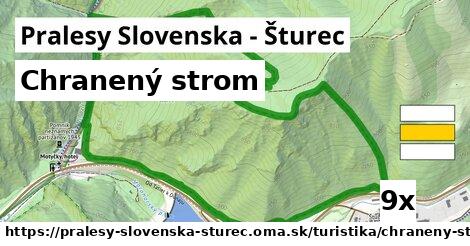 Chranený strom, Pralesy Slovenska - Šturec
