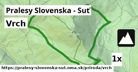 Vrch, Pralesy Slovenska - Suť