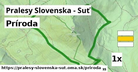 príroda v Pralesy Slovenska - Suť