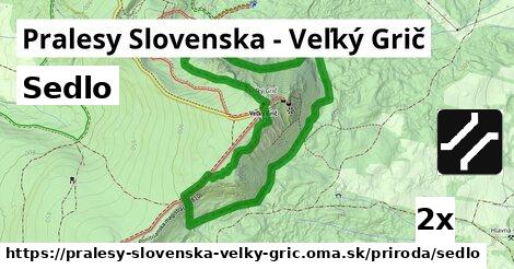 Sedlo, Pralesy Slovenska - Veľký Grič