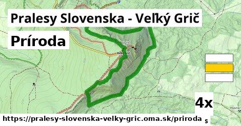 príroda v Pralesy Slovenska - Veľký Grič