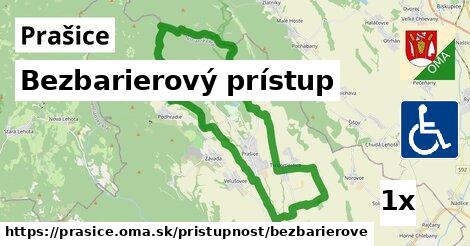 Bezbarierový prístup, Prašice