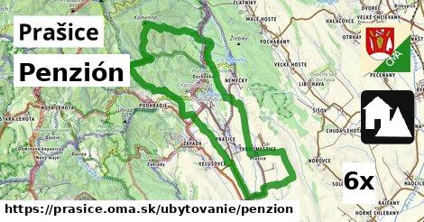 Penzión, Prašice