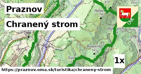 Chranený strom, Praznov