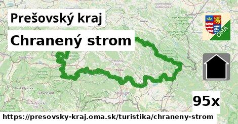 Chranený strom, Prešovský kraj