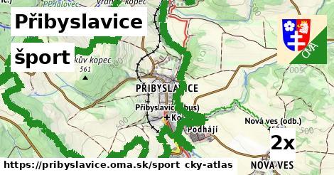 šport v Přibyslavice