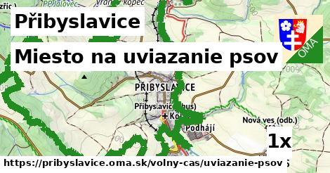 miesto na uviazanie psov v Přibyslavice