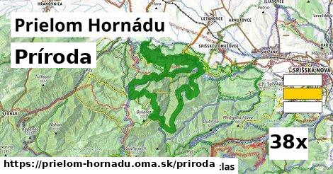 príroda v Prielom Hornádu