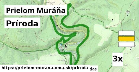 príroda v Prielom Muráňa