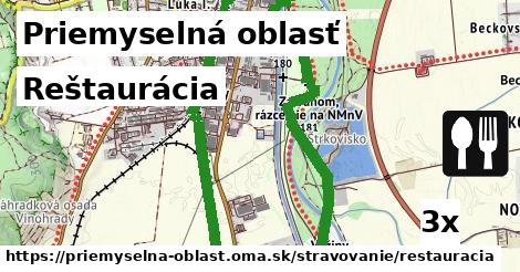 Reštaurácia, Priemyselná oblasť