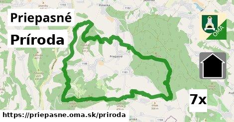 príroda v Priepasné