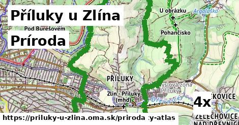 príroda v Příluky u Zlína