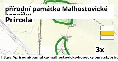 príroda v přírodní památka Malhostovické kopečky