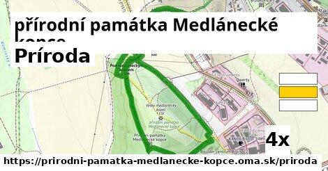 príroda v přírodní památka Medlánecké kopce