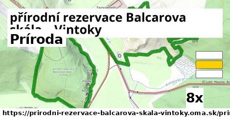 príroda v přírodní rezervace Balcarova skála – Vintoky