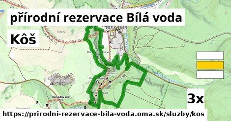 Kôš, přírodní rezervace Bílá voda