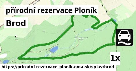 Brod, přírodní rezervace Ploník