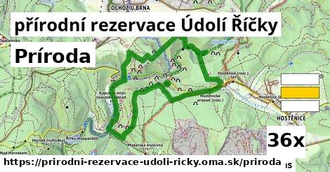 príroda v přírodní rezervace Údolí Říčky