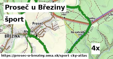 šport v Proseč u Březiny