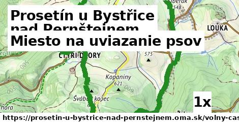 Miesto na uviazanie psov, Prosetín u Bystřice nad Pernštejnem