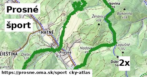 šport v Prosné
