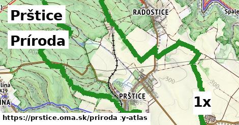 príroda v Prštice