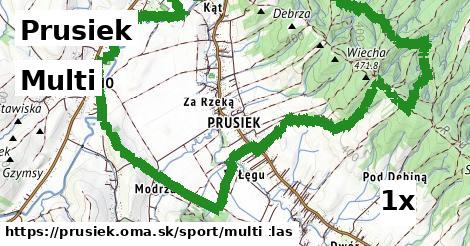 multi v Prusiek