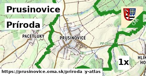 príroda v Prusinovice