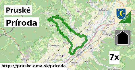 príroda v Pruské