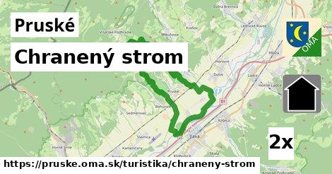 Chranený strom, Pruské