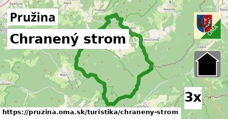 Chranený strom, Pružina