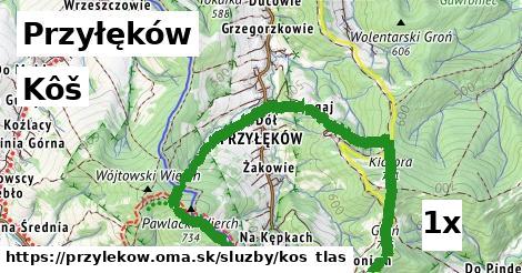 kôš v Przyłęków