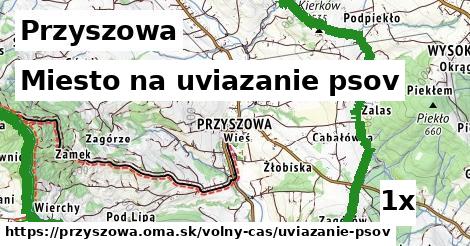 miesto na uviazanie psov v Przyszowa