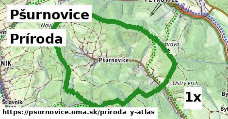 príroda v Pšurnovice