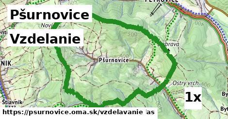 vzdelanie v Pšurnovice