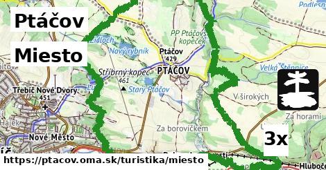 Miesto, Ptáčov