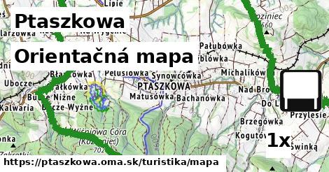 orientačná mapa v Ptaszkowa