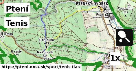 Tenis, Ptení