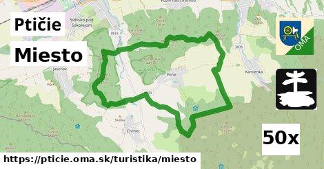 Miesto, Ptičie