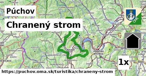 Chranený strom, Púchov