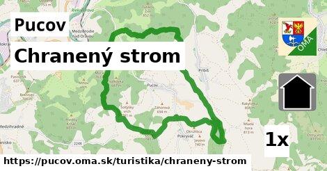 Chranený strom, Pucov