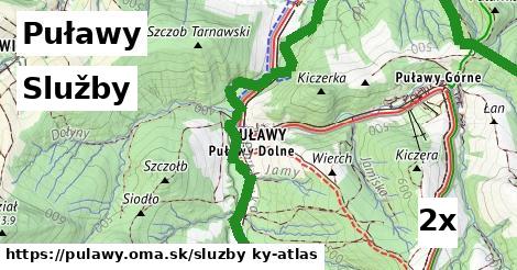 služby v Puławy