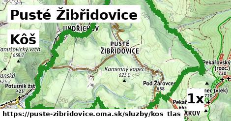 Kôš, Pusté Žibřidovice