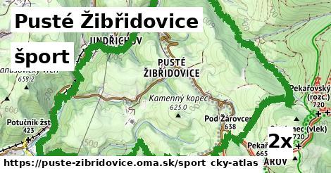 šport v Pusté Žibřidovice