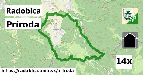 príroda v Radobica