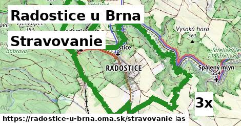 stravovanie v Radostice u Brna