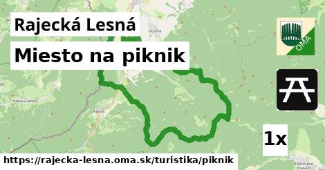 Miesto na piknik, Rajecká Lesná