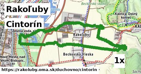 Cintorín, Rakoľuby