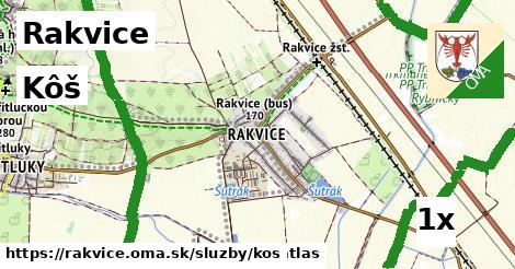 Kôš, Rakvice