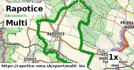 Multi, Rapotice